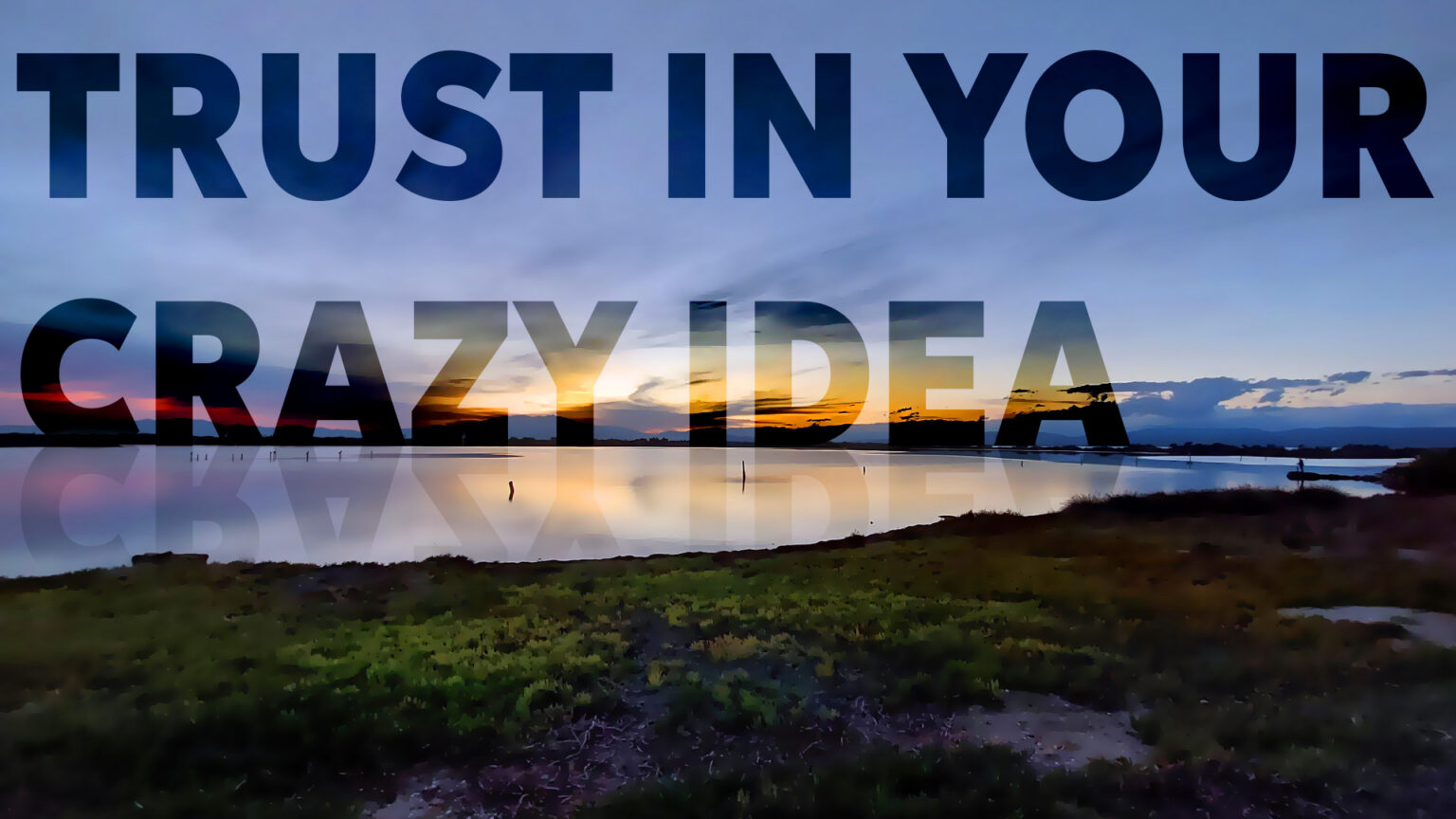 Trust in your crazy idea. Phidippus création web